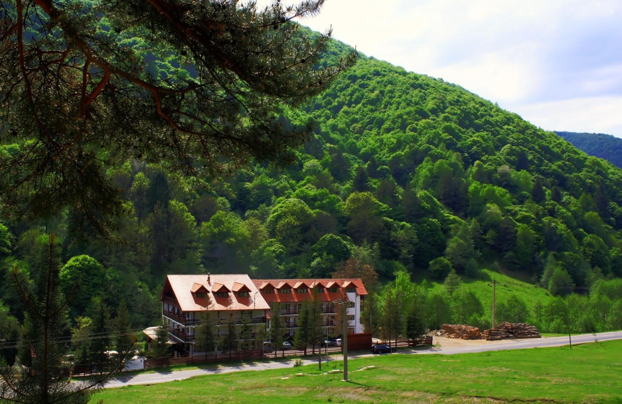 Pensiunea Mai Hotel Răşinari Eksteriør billede